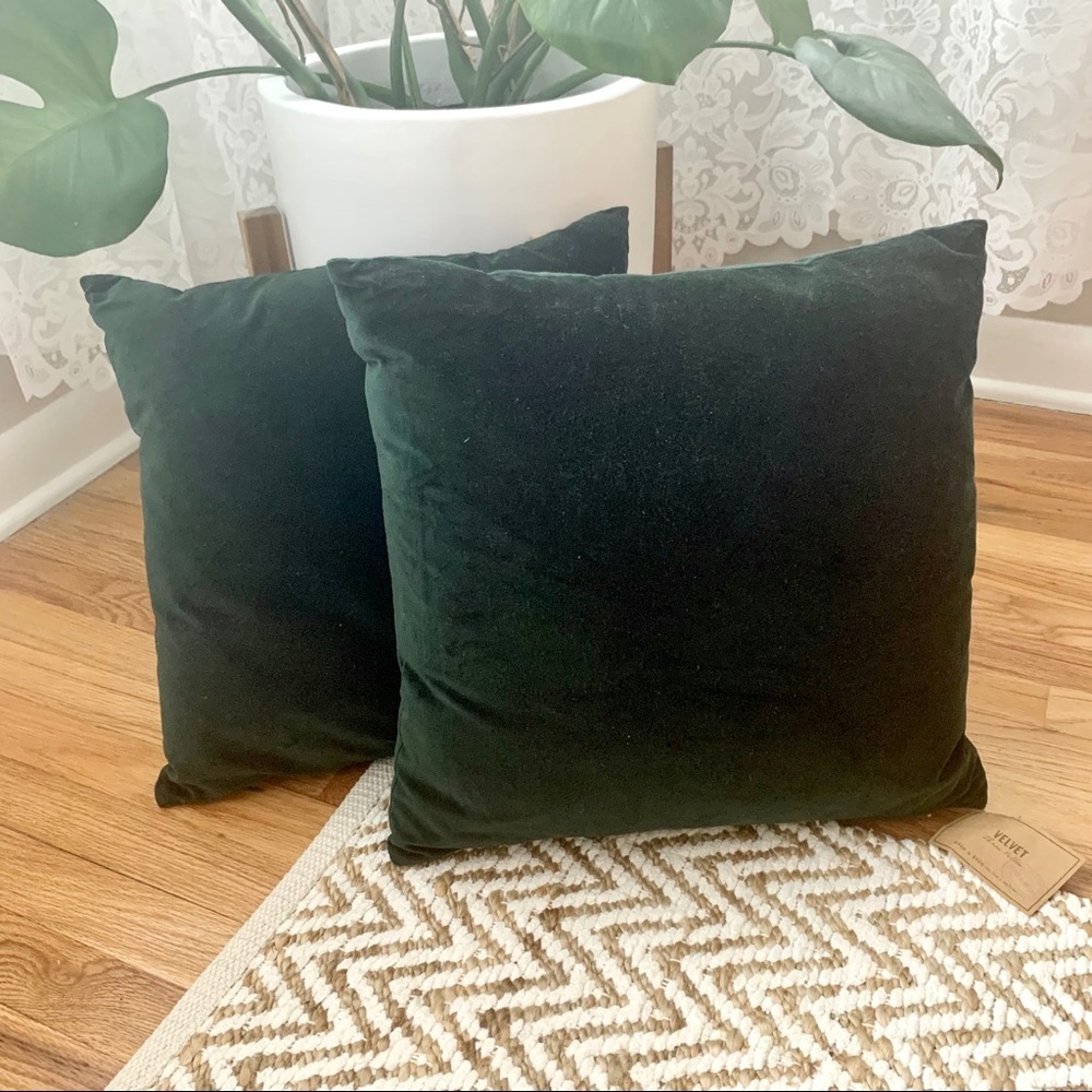 World Market Velvet Throw Pillows set of 2